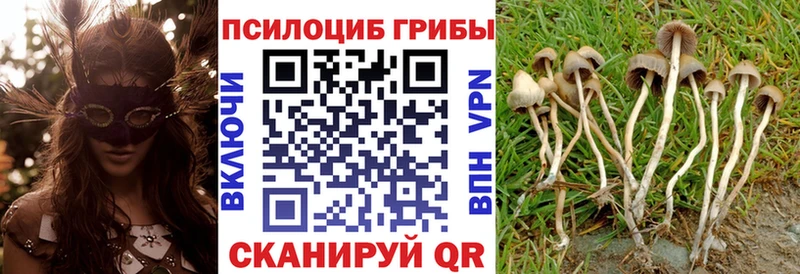 Галлюциногенные грибы прущие грибы  Купить где  Белинский 